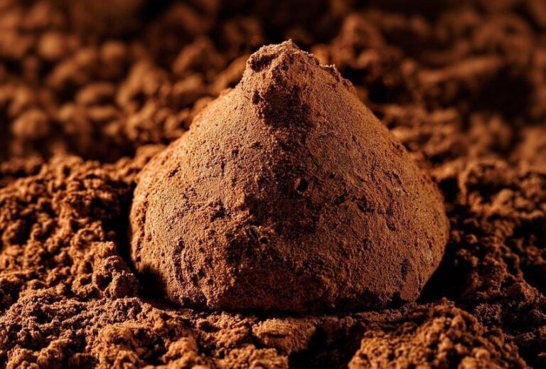 Les chocolats d’appellation truffes et leurs caractéristiques remarquables Mère en Fille